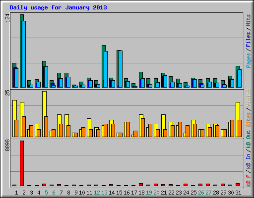 Daily usage for January 2013