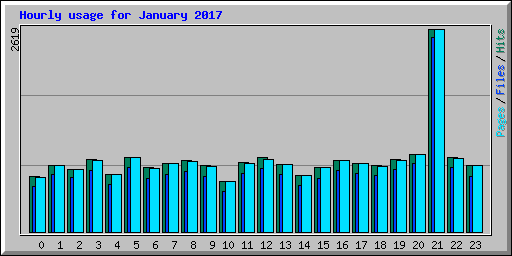 Hourly usage for January 2017