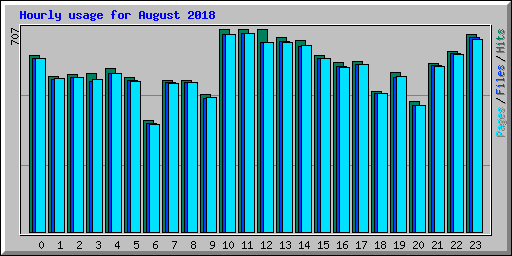 Hourly usage for August 2018