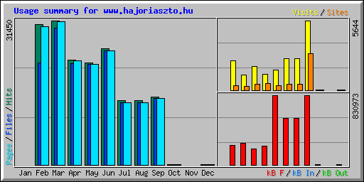 Usage summary for www.hajoriaszto.hu
